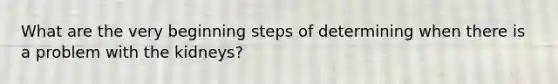 What are the very beginning steps of determining when there is a problem with the kidneys?