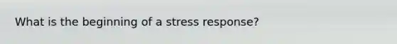 What is the beginning of a stress response?