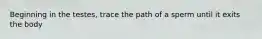 Beginning in the testes, trace the path of a sperm until it exits the body