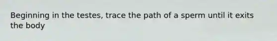 Beginning in the testes, trace the path of a sperm until it exits the body