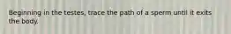 Beginning in the testes, trace the path of a sperm until it exits the body.