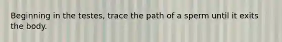 Beginning in the testes, trace the path of a sperm until it exits the body.