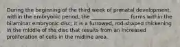 During the beginning of the third week of prenatal development, within the embryonic period, the _______________ forms within the bilaminar embryonic disc; it is a furrowed, rod-shaped thickening in the middle of the disc that results from an increased proliferation of cells in the midline area.