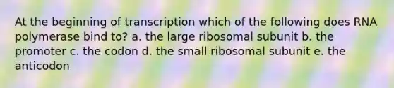 At the beginning of transcription which of the following does RNA polymerase bind to? a. the large ribosomal subunit b. the promoter c. the codon d. the small ribosomal subunit e. the anticodon