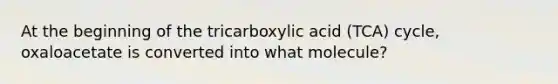 At the beginning of the tricarboxylic acid (TCA) cycle, oxaloacetate is converted into what molecule?