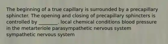 The beginning of a true capillary is surrounded by a precapillary sphincter. The opening and closing of precapillary sphincters is controlled by ________. local chemical conditions blood pressure in the metarteriole parasympathetic nervous system sympathetic nervous system