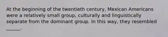 At the beginning of the twentieth century, Mexican Americans were a relatively small group, culturally and linguistically separate from the dominant group. In this way, they resembled ______.