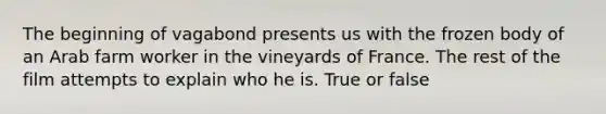 The beginning of vagabond presents us with the frozen body of an Arab farm worker in the vineyards of France. The rest of the film attempts to explain who he is. True or false