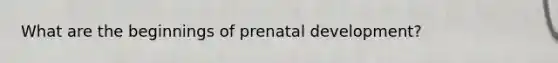 What are the beginnings of prenatal development?