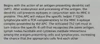 Begins with the action of an antigen-presenting dendritic cell (APC). After endocytosis and processing of the antigen, the dendritic cell presents epitopes in conjunction with its MHC II proteins. This APC will induce the specific helper T (CD4) lymphocyte with a TCR complementary to the MHC II-epitope complex presented by the APC. The activated Th2 cell must in turn induce the specific B cell that recognizes the same antigen. Lymph nodes facilitate and cytokines mediate interactions among the antigen-presenting cells and lymphocytes, increasing the chance that the appropriate cells find each other