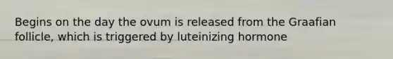 Begins on the day the ovum is released from the Graafian follicle, which is triggered by luteinizing hormone