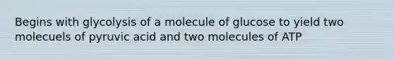 Begins with glycolysis of a molecule of glucose to yield two molecuels of pyruvic acid and two molecules of ATP