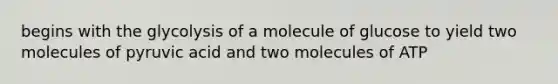 begins with the glycolysis of a molecule of glucose to yield two molecules of pyruvic acid and two molecules of ATP