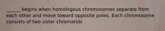 ______ begins when homologous chromosomes separate from each other and move toward opposite poles. Each chromosome consists of two sister chromatids