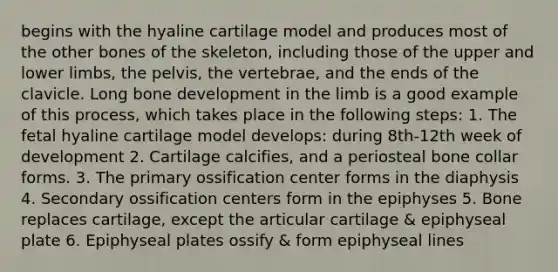 begins with the hyaline cartilage model and produces most of the other bones of the skeleton, including those of the upper and lower limbs, the pelvis, the vertebrae, and the ends of the clavicle. Long bone development in the limb is a good example of this process, which takes place in the following steps: 1. The fetal hyaline cartilage model develops: during 8th-12th week of development 2. Cartilage calcifies, and a periosteal bone collar forms. 3. The primary ossification center forms in the diaphysis 4. Secondary ossification centers form in the epiphyses 5. Bone replaces cartilage, except the articular cartilage & epiphyseal plate 6. Epiphyseal plates ossify & form epiphyseal lines