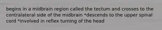 begins in a midbrain region called the tectum and crosses to the contralateral side of the midbrain *descends to the upper spinal cord *involved in reflex turning of the head