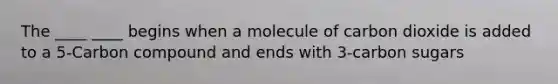 The ____ ____ begins when a molecule of carbon dioxide is added to a 5-Carbon compound and ends with 3-carbon sugars