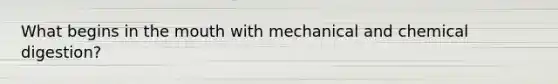 What begins in the mouth with mechanical and chemical digestion?