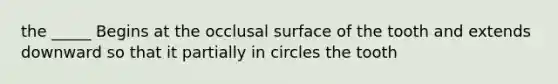 the _____ Begins at the occlusal surface of the tooth and extends downward so that it partially in circles the tooth