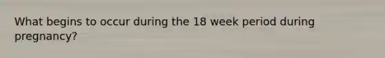 What begins to occur during the 18 week period during pregnancy?