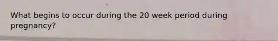 What begins to occur during the 20 week period during pregnancy?