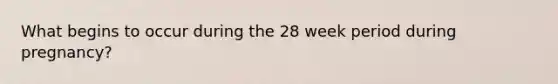 What begins to occur during the 28 week period during pregnancy?