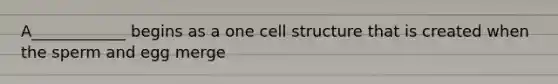 A____________ begins as a one cell structure that is created when the sperm and egg merge