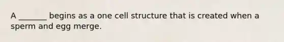 A _______ begins as a one cell structure that is created when a sperm and egg merge.