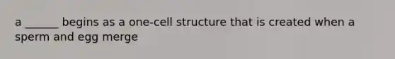 a ______ begins as a one-cell structure that is created when a sperm and egg merge