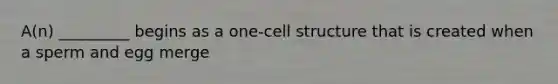 A(n) _________ begins as a one-cell structure that is created when a sperm and egg merge