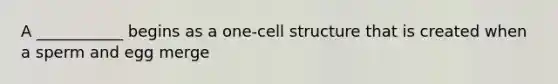 A ___________ begins as a one-cell structure that is created when a sperm and egg merge