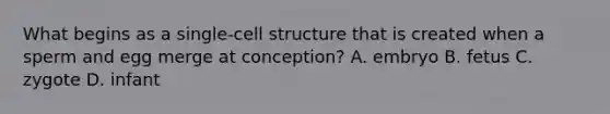 What begins as a single-cell structure that is created when a sperm and egg merge at conception? A. embryo B. fetus C. zygote D. infant