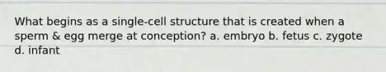 What begins as a single-cell structure that is created when a sperm & egg merge at conception? a. embryo b. fetus c. zygote d. infant