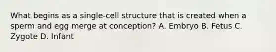 What begins as a single-cell structure that is created when a sperm and egg merge at conception? A. Embryo B. Fetus C. Zygote D. Infant