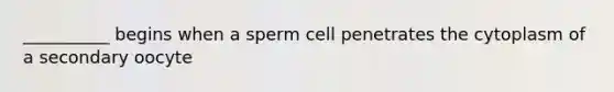 __________ begins when a sperm cell penetrates the cytoplasm of a secondary oocyte