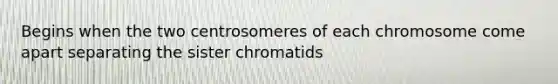 Begins when the two centrosomeres of each chromosome come apart separating the sister chromatids