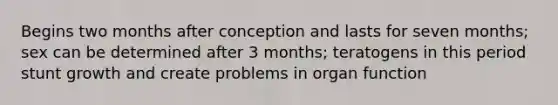 Begins two months after conception and lasts for seven months; sex can be determined after 3 months; teratogens in this period stunt growth and create problems in organ function