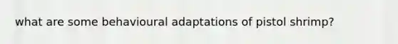 what are some behavioural adaptations of pistol shrimp?