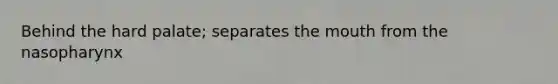 Behind the hard palate; separates the mouth from the nasopharynx