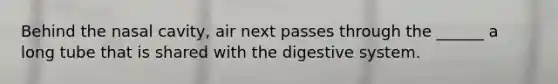 Behind the nasal cavity, air next passes through the ______ a long tube that is shared with the digestive system.