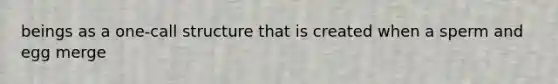 beings as a one-call structure that is created when a sperm and egg merge