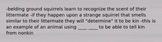 -belding ground squirrels learn to recognize the scent of their littermate -if they happen upon a strange squirrel that smells similar to their littermate they will "determine" it to be kin -this is an example of an animal using ____ ____ to be able to tell kin from nonkin