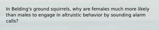 In Belding's ground squirrels, why are females much more likely than males to engage in altruistic behavior by sounding alarm calls?