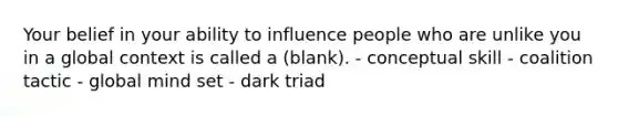 Your belief in your ability to influence people who are unlike you in a global context is called a (blank). - conceptual skill - coalition tactic - global mind set - dark triad