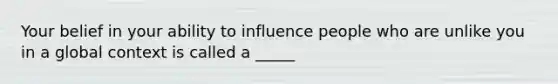 Your belief in your ability to influence people who are unlike you in a global context is called a _____