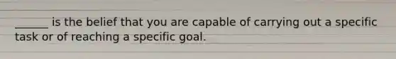 ______ is the belief that you are capable of carrying out a specific task or of reaching a specific goal.