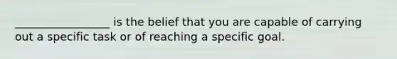 _________________ is the belief that you are capable of carrying out a specific task or of reaching a specific goal.