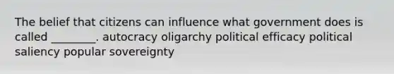 The belief that citizens can influence what government does is called ________. autocracy oligarchy political efficacy political saliency popular sovereignty