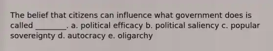 The belief that citizens can influence what government does is called ________. a. political efficacy b. political saliency c. popular sovereignty d. autocracy e. oligarchy