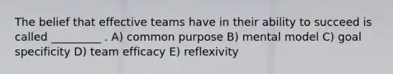 The belief that effective teams have in their ability to succeed is called _________ . A) common purpose B) mental model C) goal specificity D) team efficacy E) reflexivity